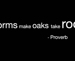 This image shows a proverb as a part of Halifax Storags UK's monday motivation series
